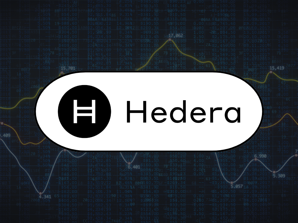 Hedera Hashgraph Fundamentalanalyse