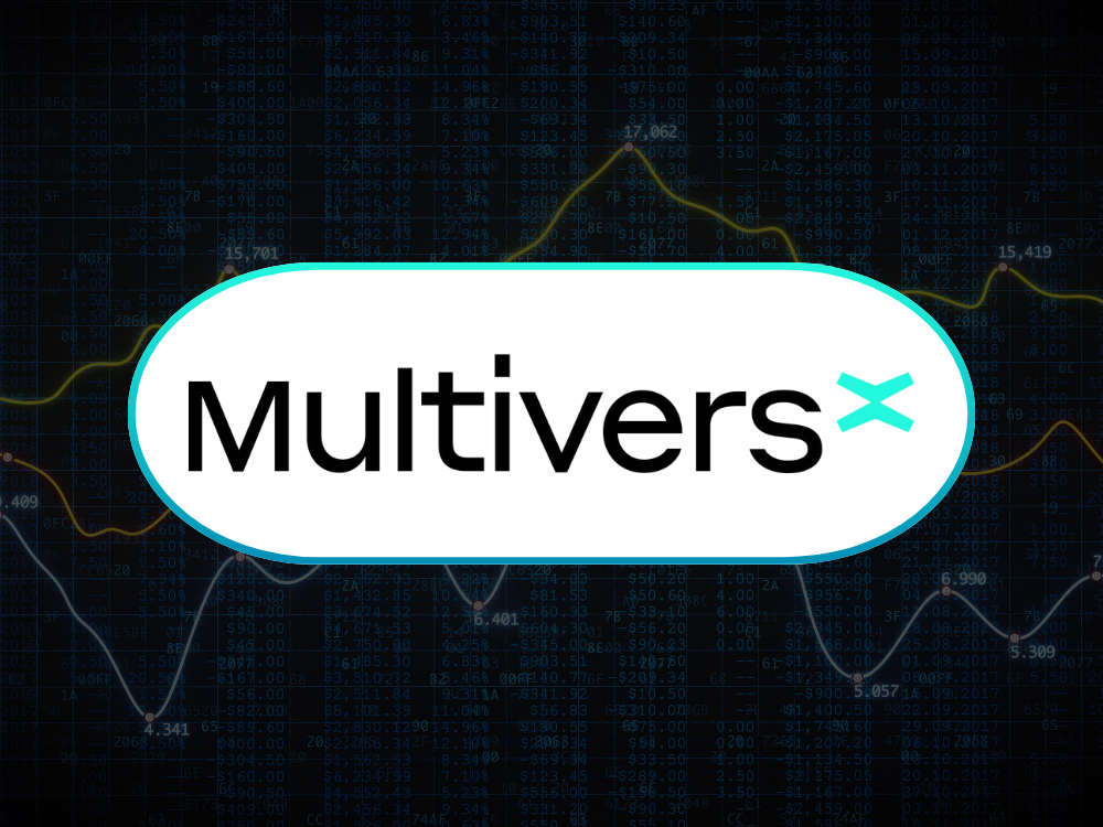 MultiversX Fundamentalanalyse