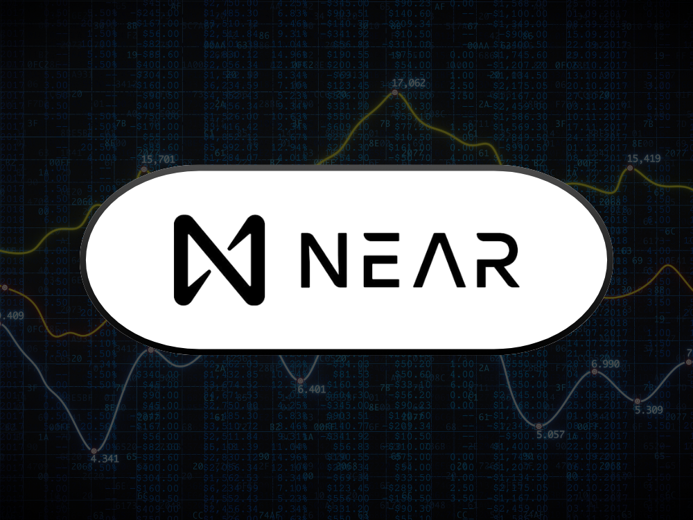 NEAR Protocol Fundamentalanalyse