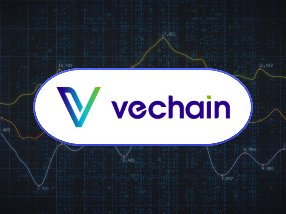 Vechain Fundamentalanalyse