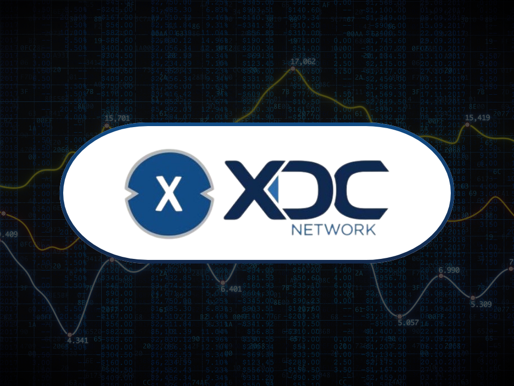 XDC Fundamentalanalyse