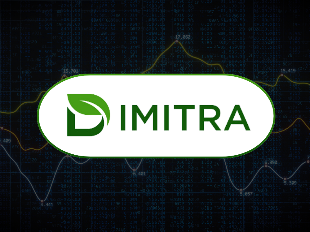 Dimitra Fundamentalanalyse